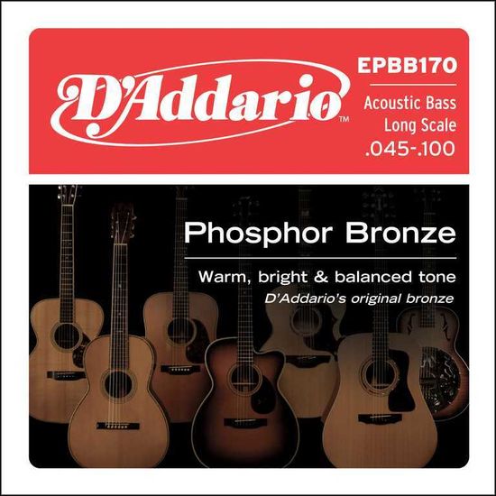 Струны для акустической бас-гитары D'ADDARIO EPBB170