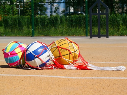 Сетка для мячей. : (красный)