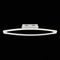 Потолочный светодиодный светильник ST Luce SL920.102.01