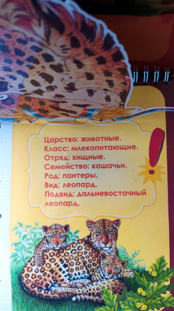 3D-Альбом "Красная книга животных России"