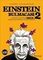 Einstein Bulmacası 2