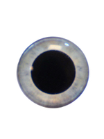 Глаза для приманки Abu Garcia Beast Screw-In Eyes, 12 шт