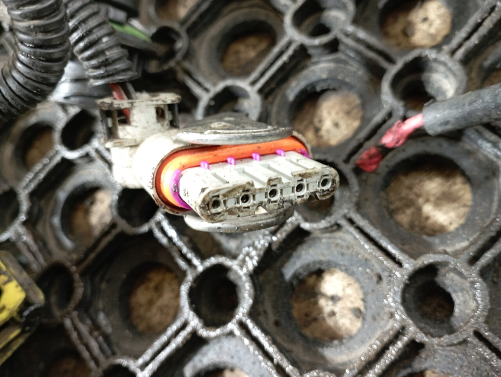 Проводка двигателя DXI11