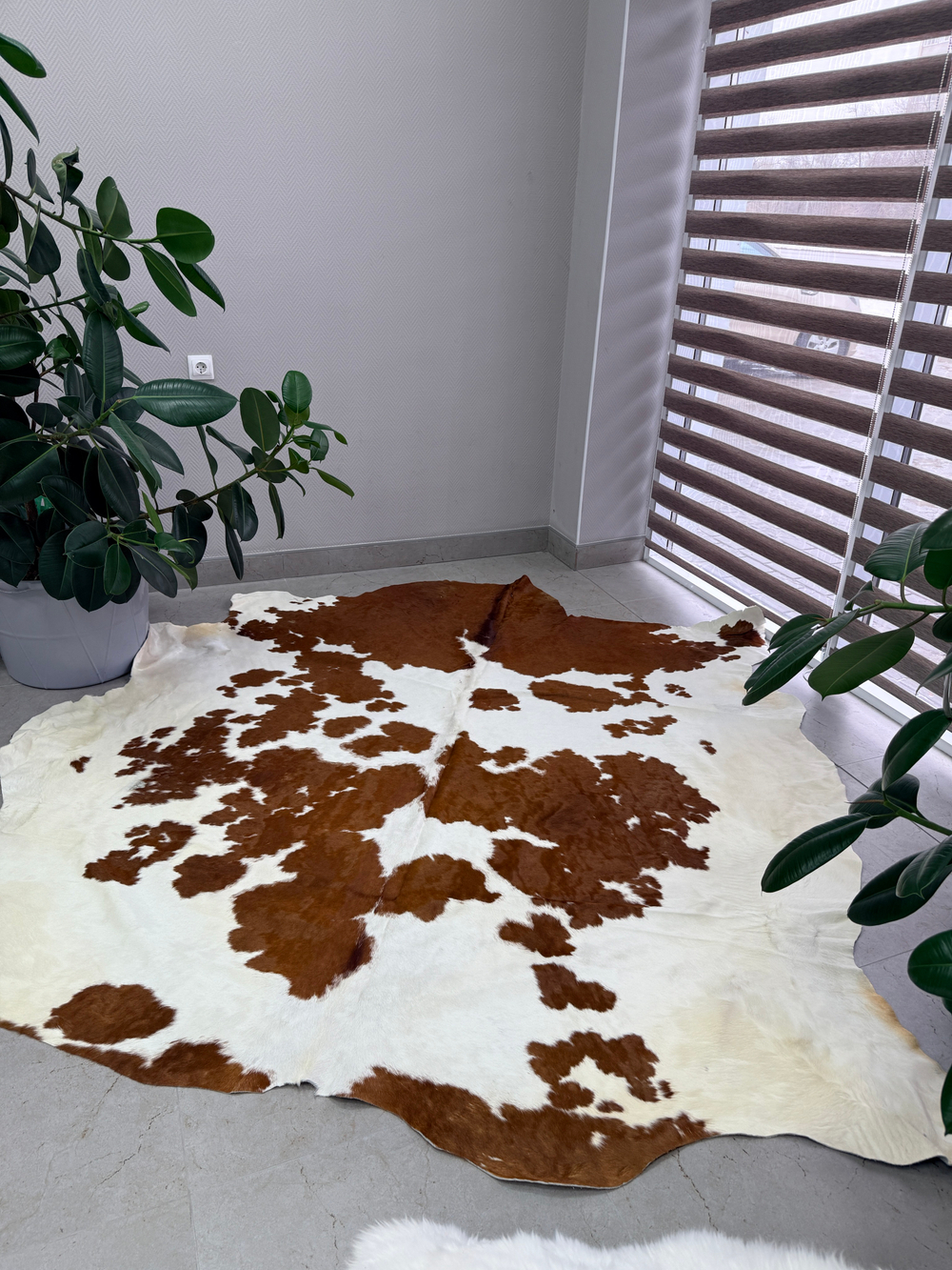 Коровья шкура на пол натуральная. 200 х 190 см