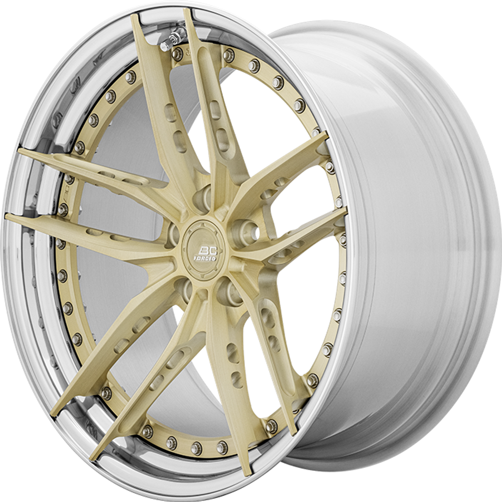 RP FORGED HCX01S
