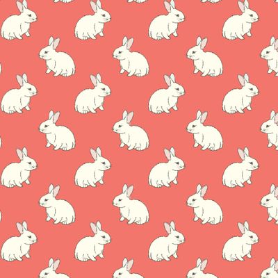 Белый кролик