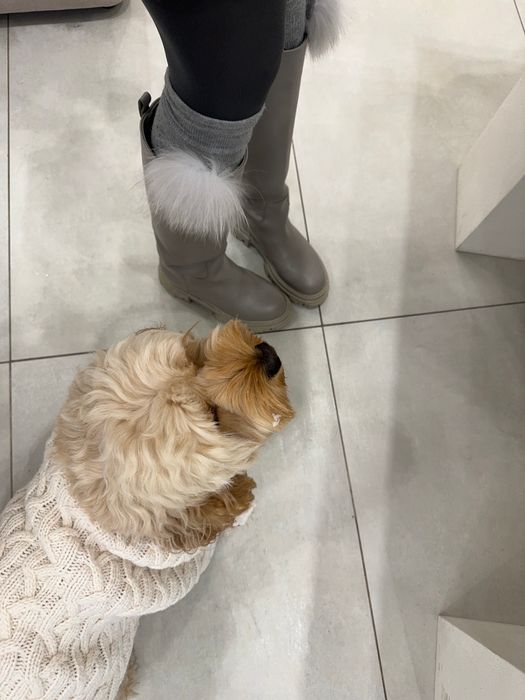 БРОШЬ ГАРЭТ СЕРЫЙ