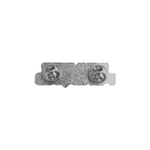 PIN "SILVER"