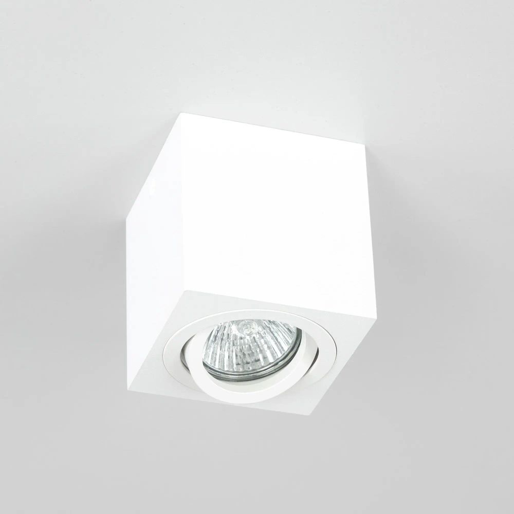 Citilux Дюрен CL538211 Светильник накладной поворотный Белый