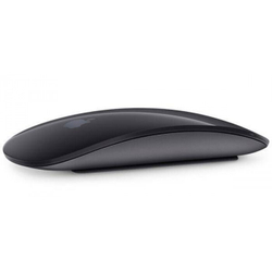 Мышь беспроводная Apple Magic Mouse USB-C Black