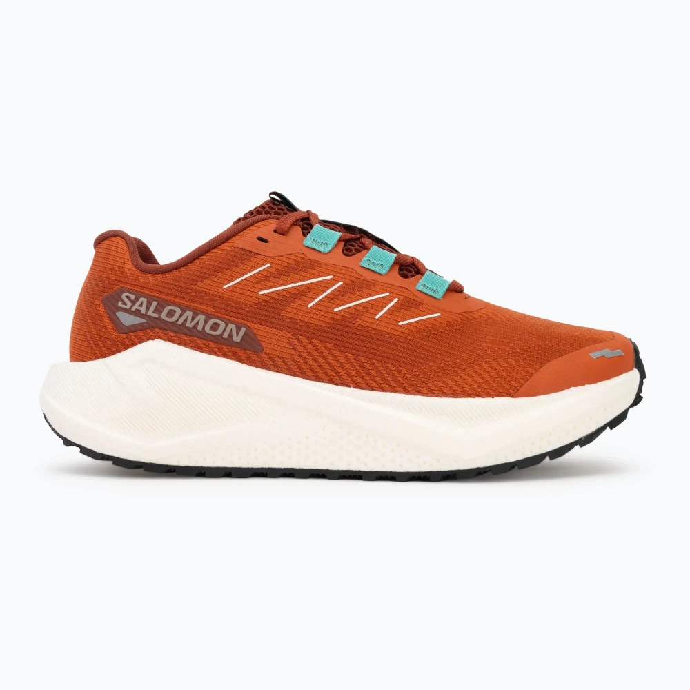 Женские Кроссовки для бега Salomon Aero Blaze 3 GRVL burnt ochre/vanilla ice