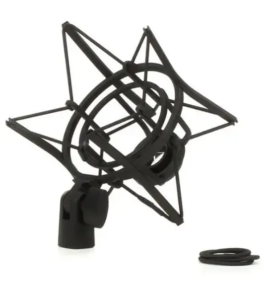 AKG P220