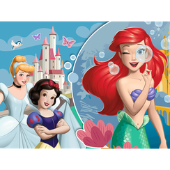 Pazl / Пазлы / Puzzles - "30" - Beautiful princess day / Disney Princess