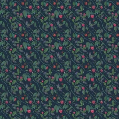 Веточки малины. Сочные ягоды