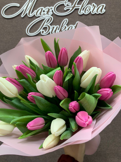 Букет 25 тюльпанов 8 Марта М-61