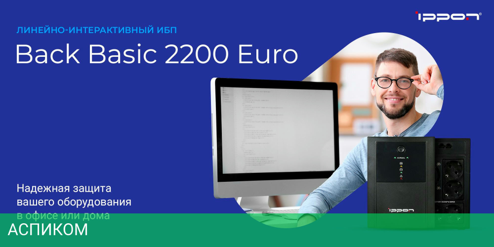Источник бесперебойного питания Ippon Back Basic 2200 Euro (1108028)
