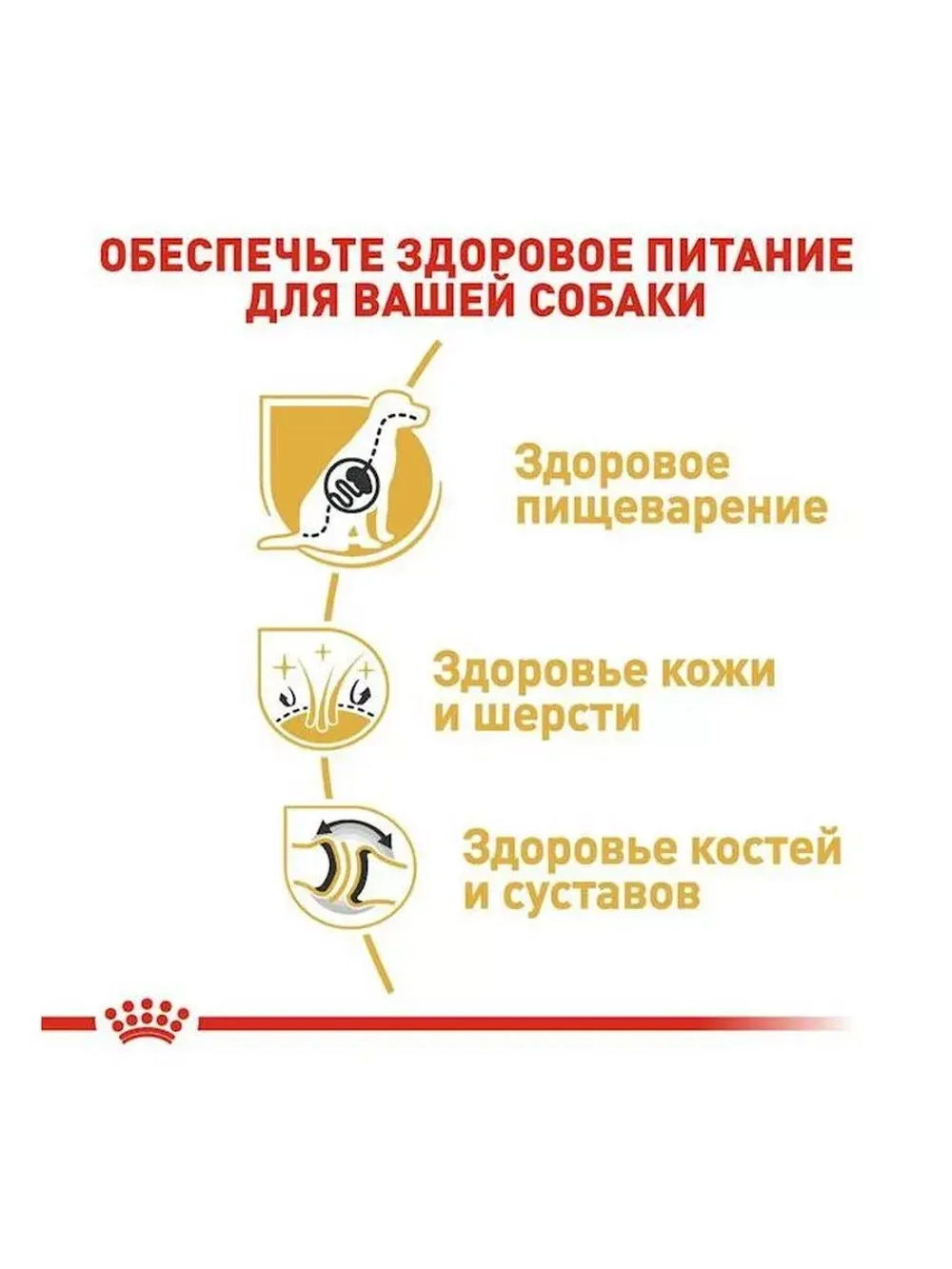 Royal Canin German Shepherd Adult PRO (Роял Канин немецкая овчарка) 16 кг.