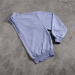 Толстовка VANQUISH Better Than Yesterday Zip Sweater Washed Blue