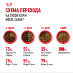 Royal Canin Sphynx Adult Сфинкс Эдалт Корм сухой сбалансированный для взрослых кошек породы Сфинкс от 12 месяцев 2кг