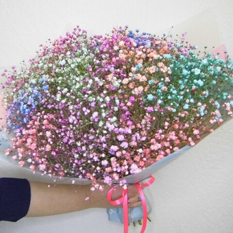 Букет гипсофил Радужный