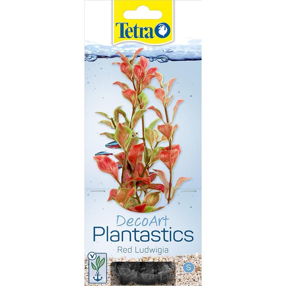 Tetra Red Ludwigia 1 (S) Растение аквариумное &quot;Людвигия красная&quot; 15 см