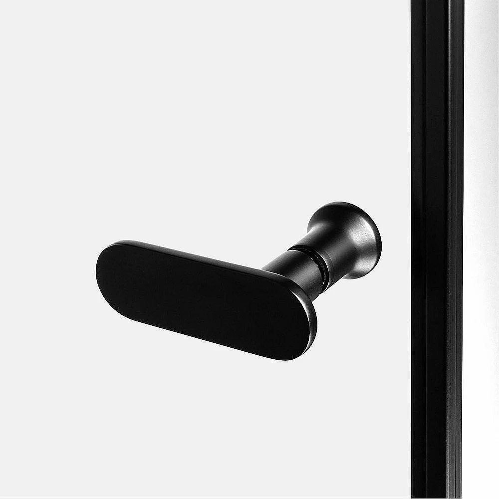 Душевая дверь NEW TRENDY NEW SOLEO BLACK D-0221A/D-0222A 80 стекло прозрачное/профиль черный