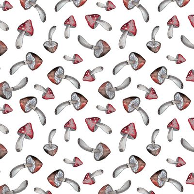 Акварельные грибы