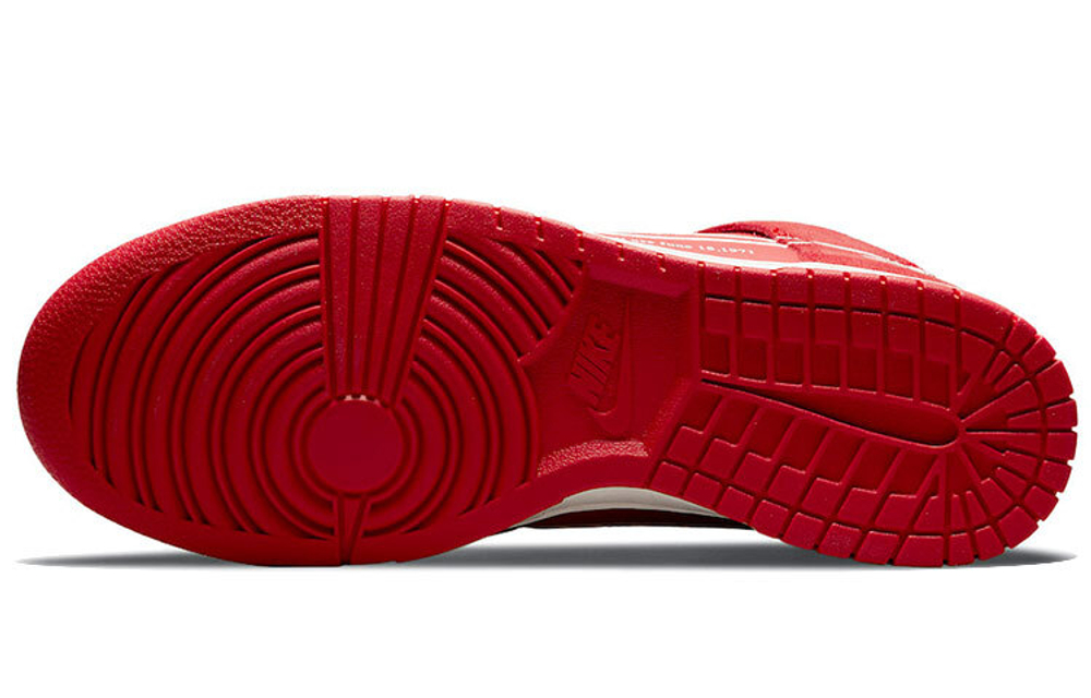Кроссовки Nike Dunk "First Use"