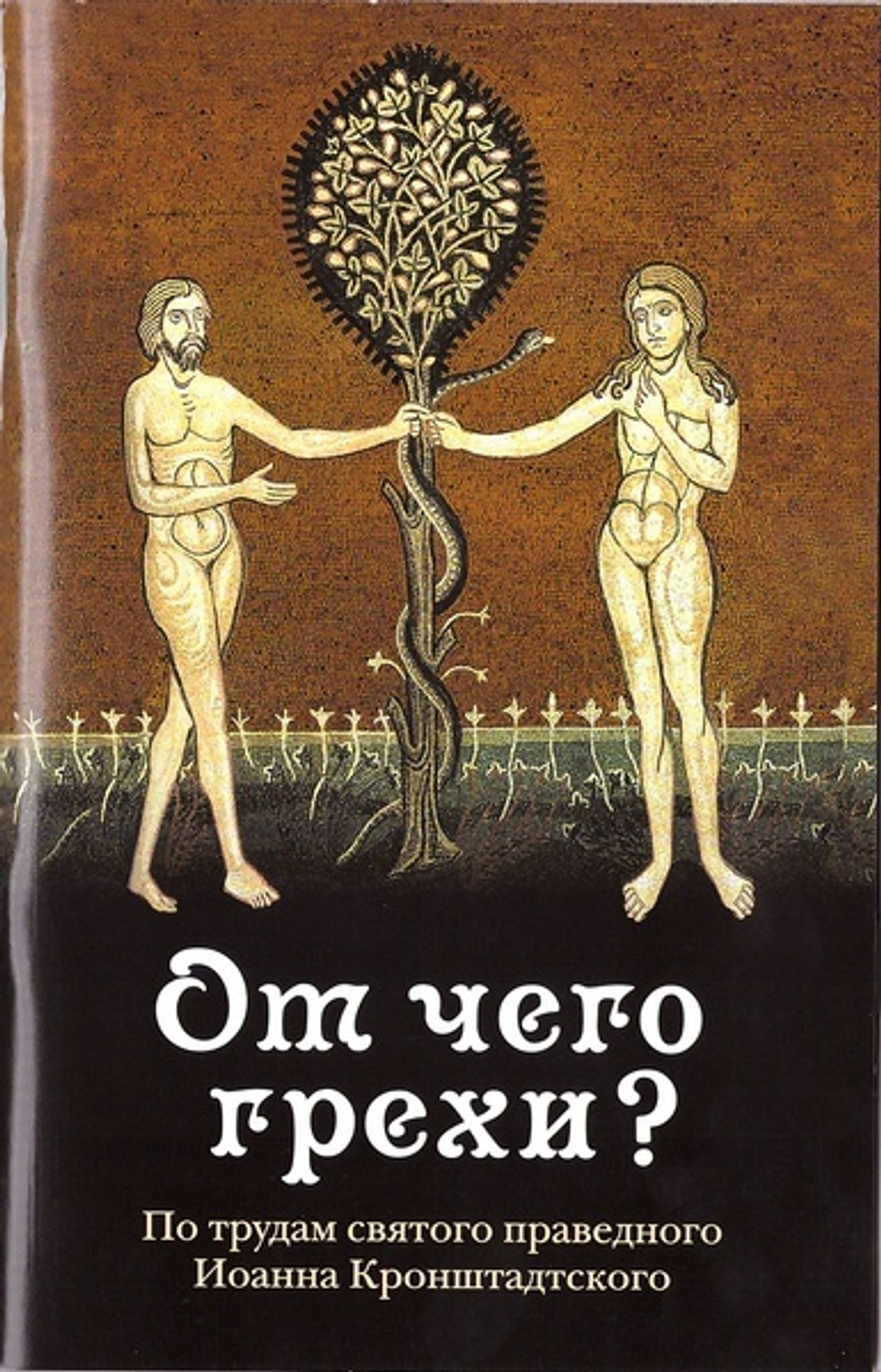 От чего грехи? Опыт борьбы со страстями