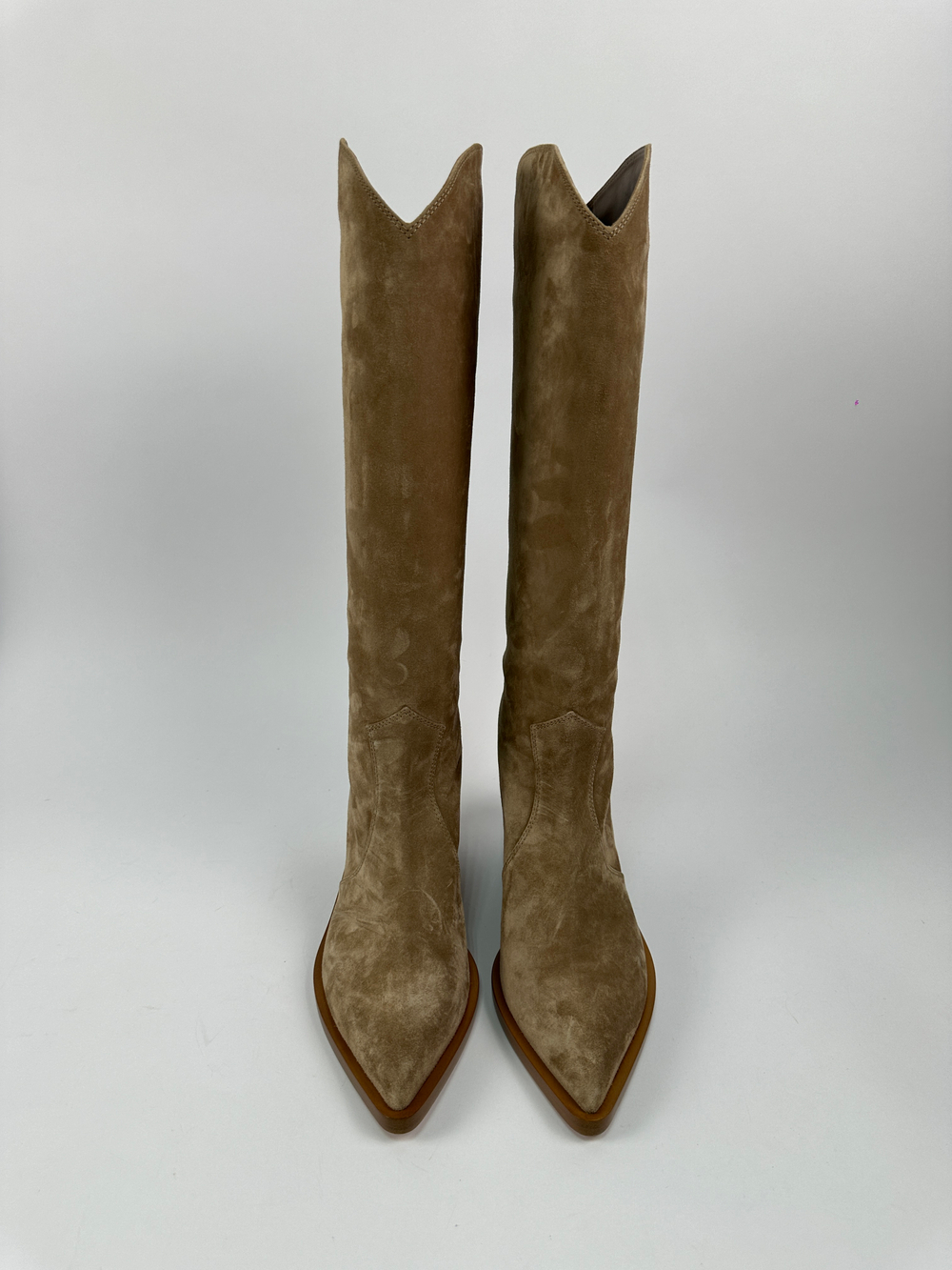 Сапоги Gianvito Rossi