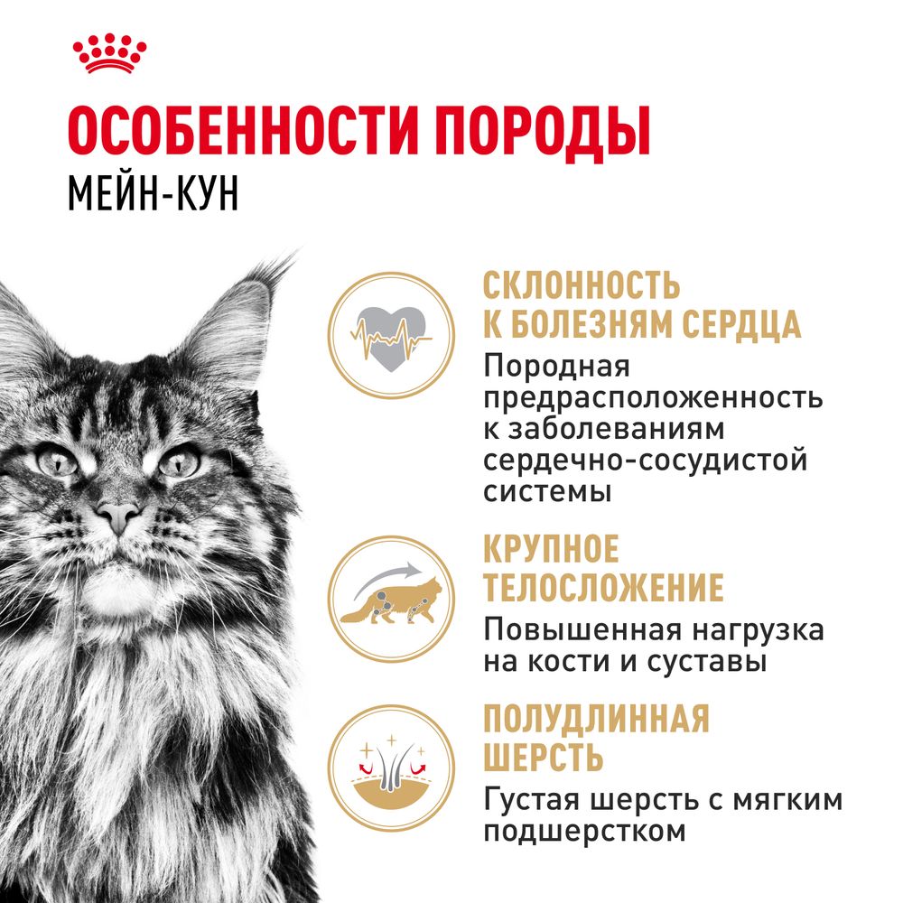 Пауч Royal Canin Maine Coon Adult для взрослых кошек породы Мэйн Кун, мелкие кусочки в соусе Пауч Royal Canin Maine Coon Adult для взрослых кошек породы Мэйн Кун, мелкие кусочки в соусе