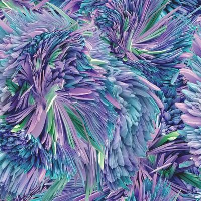 Морская астра