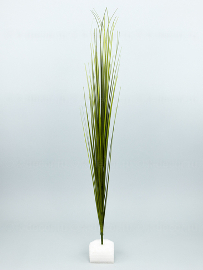 Осока БИГ 80см