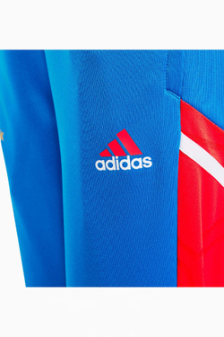 Штаны adidas FC Bayern 22/23 Training Junior