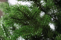 Ель Царь Елка Астерия Премиум 210 см 3D