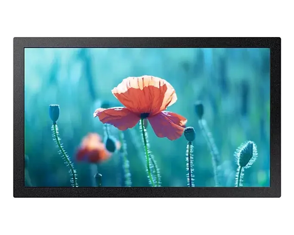 Дисплей профессиональный Samsung QB13R-M