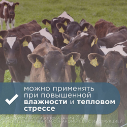 Диклакокс, 10шт по 10мл в упаковке, высокоэффективный комплексный кокцидиостатик