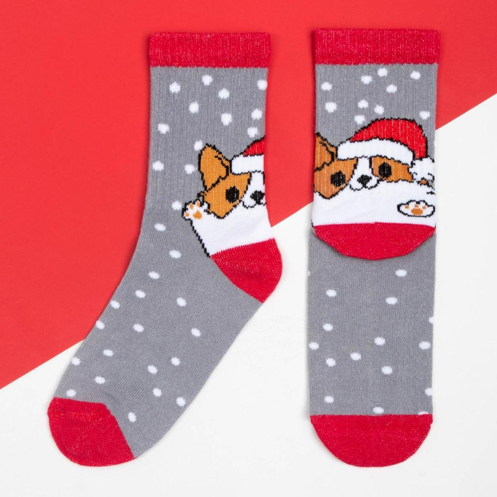 Носки "Корги" р-р 18-20, серый 7023941 (KAFTAN), 1 шт.