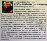 Тыква дек. Красная шапочка 3 шт СМТК-34