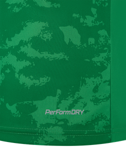 Футболка вратарская DIVISION PerFormDRY SPLASH GK Jersey, зеленый