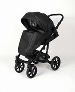 Детская коляска Peppy Indie Eco 2 в 1 01 Black