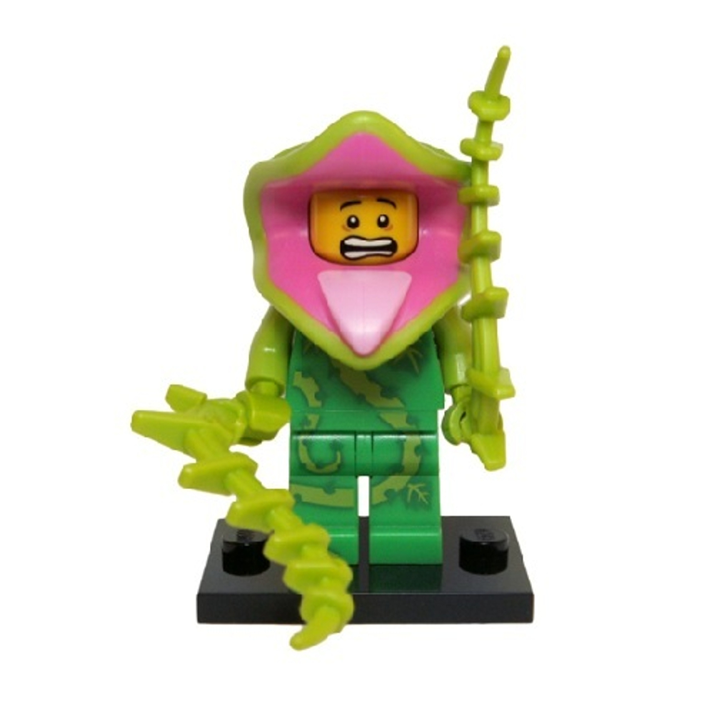 Растение Монстр 71010 col14-5