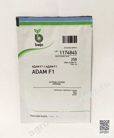 Адам F1 семена огурца партенокарпического (Bejo / Бейо) упаковка 250 шт. – фото 9