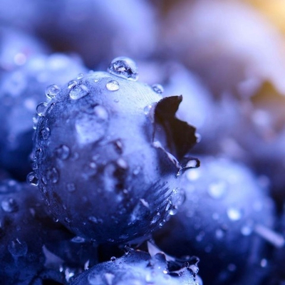 Отдушка Santiago Blueberry (Черника Сантьяго)