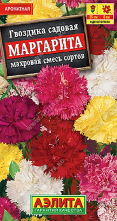 Гвоздика садовая Маргарита махровая, смесь сортов