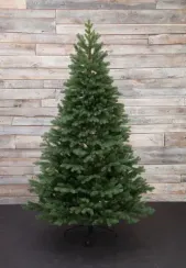Искусственная елка Швейцарская, 155 см., 100% литая хвоя, Black Box (74535)