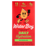 Waterboy, Daily Hydration, смесь для приготовления электролитического напитка, арбуз, 12 пакетиков по 3 г (0,11 унции)