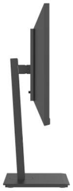 Монитор 24" Dahua DHI-LM24-P301A черный