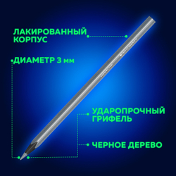 Карандаши цветные BRAUBERG METALLIC, 12 цветов металлик, черное дерево, трёхгранные, 181853
