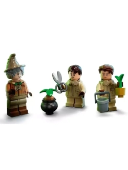 Конструктор Гарри Поттер "Урок травологии" 249 деталей 60008